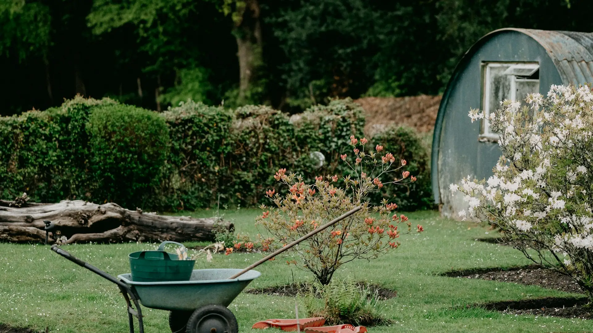 Garden Waste Removal in Bristol by Waste Bristol