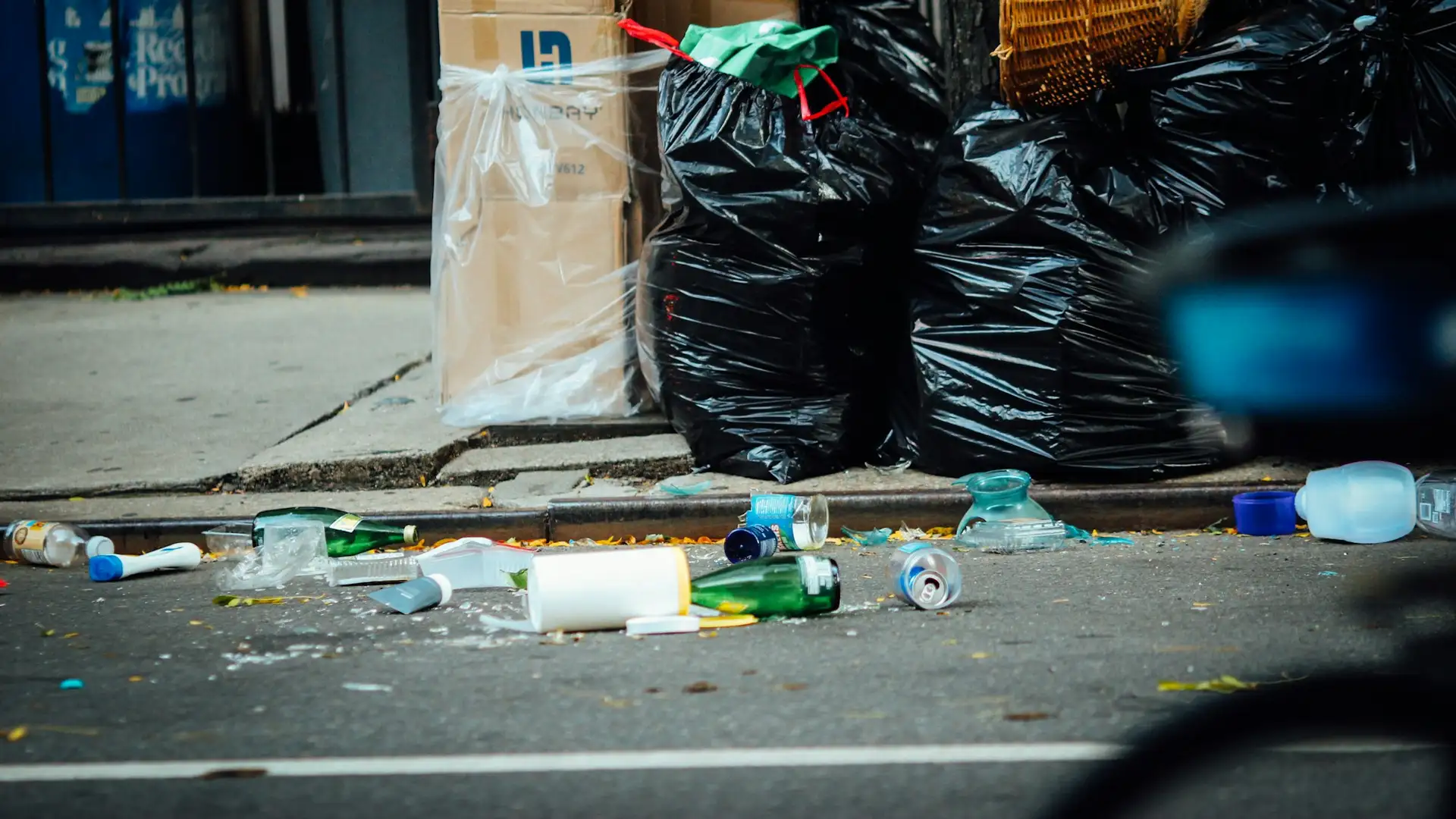 Waste Removal in Bristol by Waste Bristol